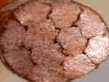 litz wire cross section